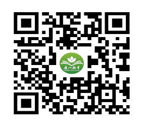 教师招聘